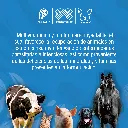 COMPLEMIL_ORAL_100ML_01.webp