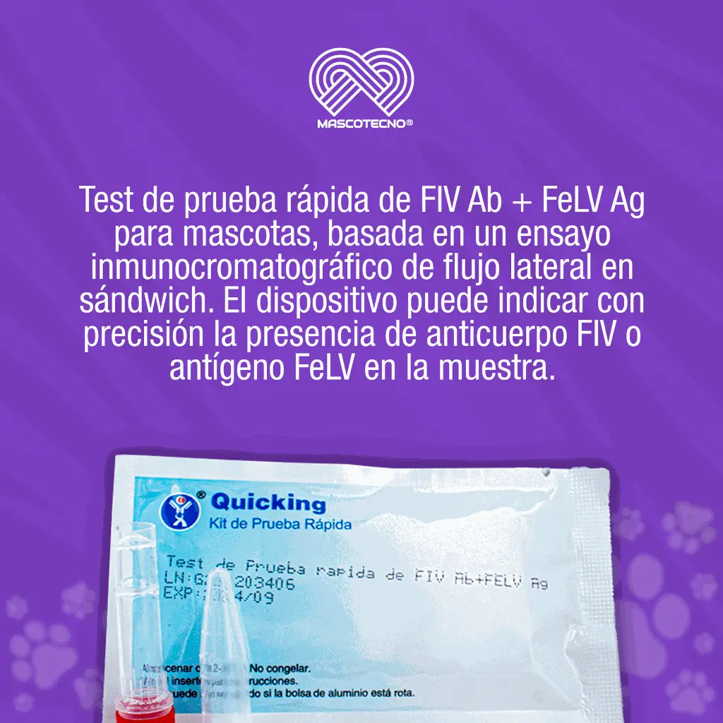 KIT_PRUEBA_FIVAV_FELVAG_01.webp