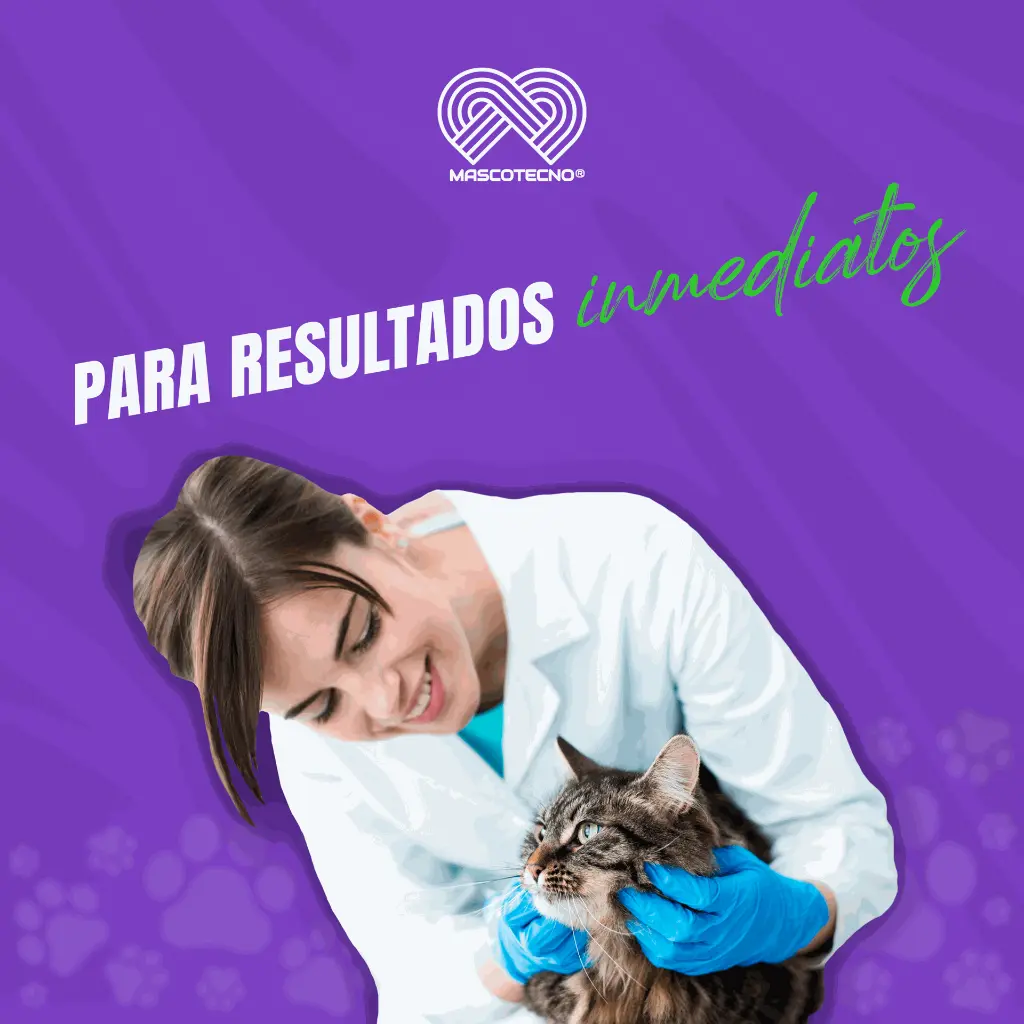 KIT_PRUEBA_FIVAV_FELVAG_05.webp