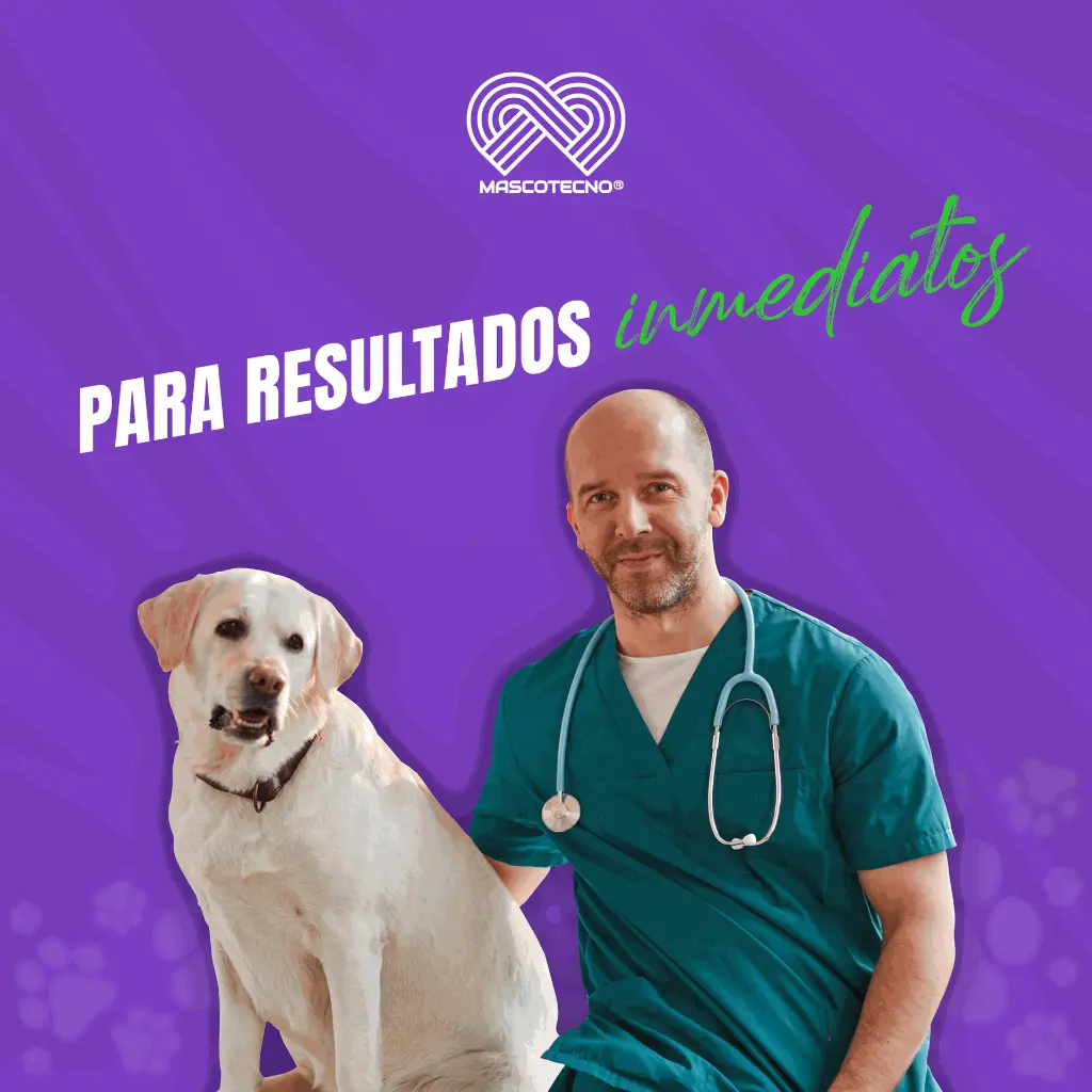 KIT_PRUEBA_DISTEMPER_05.webp