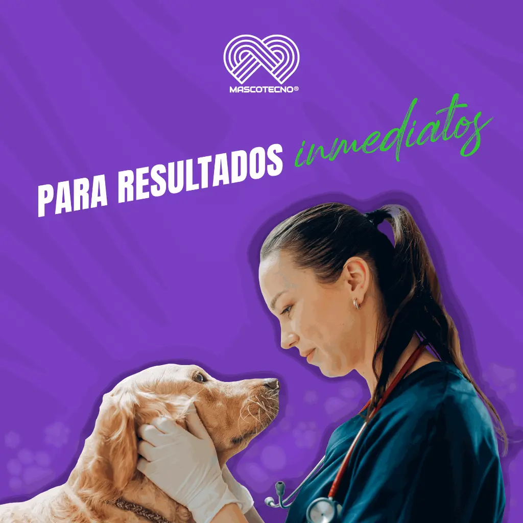 KIT_PRUEBA_EHRICHIA_05.webp