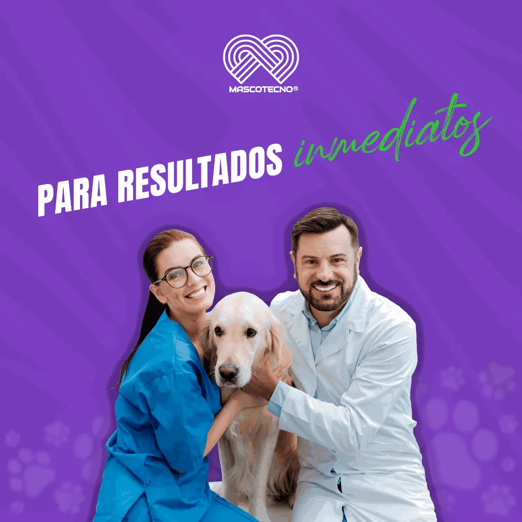 KIT_PRUEBA_PARVOVIRUS_CORONA_GIARDIA_05.webp