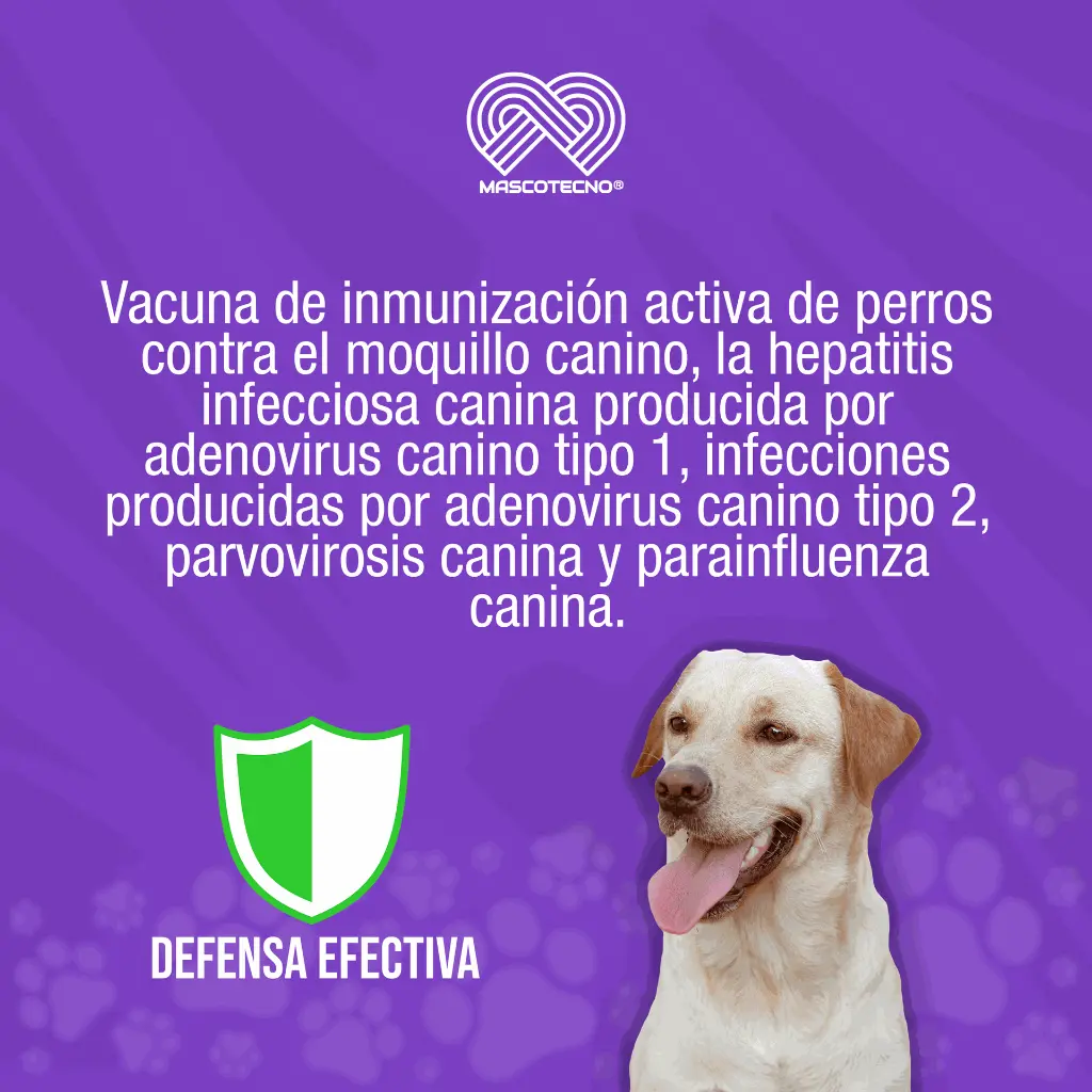 VACUNA_NOBIVAC_DHPPI+RL_SEXTUPLE_01.webp