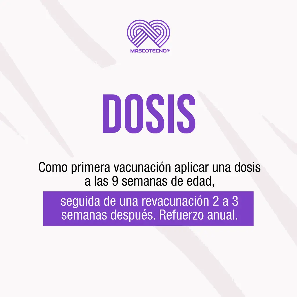 VACUNA_NOBIVAC_DHPPI+RL_SEXTUPLE_03.webp