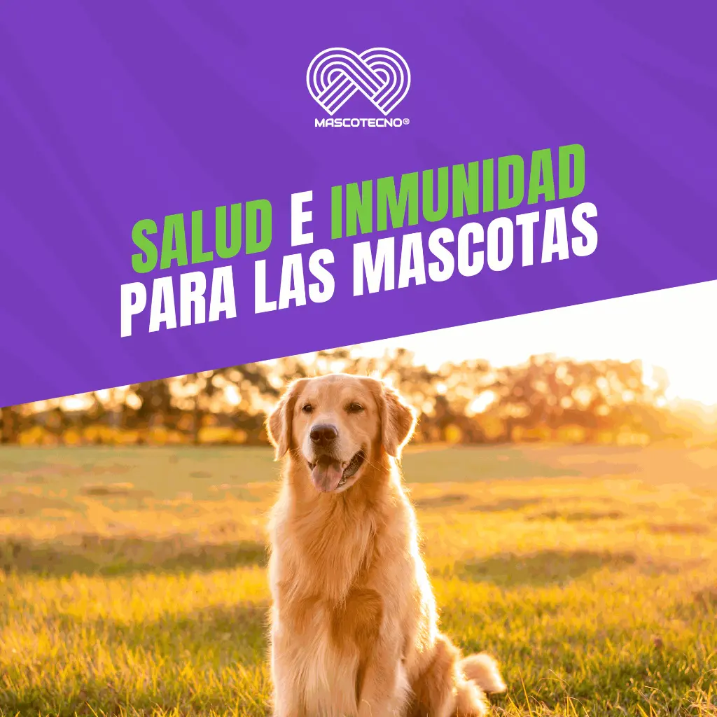 VACUNA_RECOMBITEK_C6CV_QUINTUPLE_06.webp