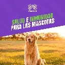 VACUNA_RECOMBITEK_C6CV_QUINTUPLE_06.webp