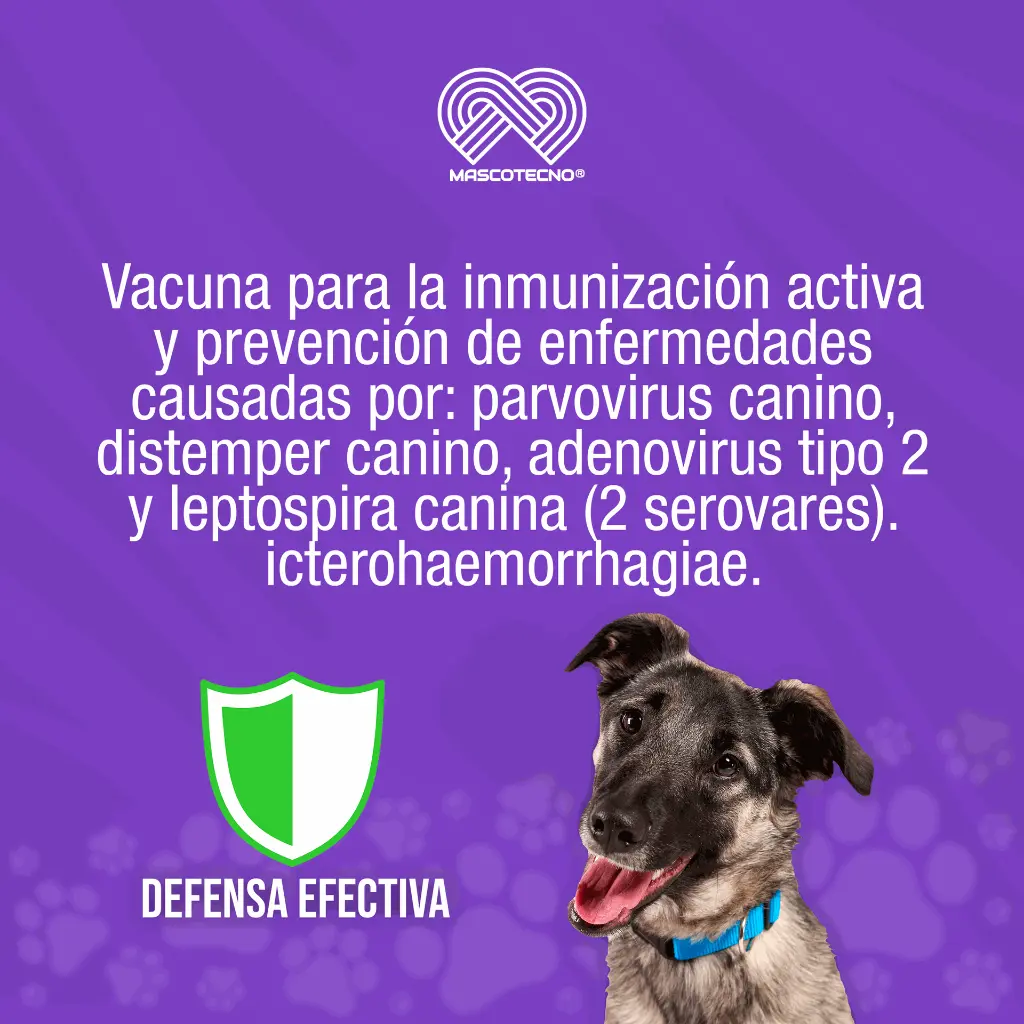 VACUNA_INMUNOVAX5_DPA2H-L_QUINTUPLE_01.webp