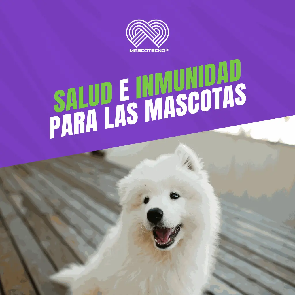 VACUNA_INMUNOVAX5_DPA2H-L_QUINTUPLE_05.webp