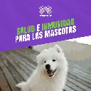 VACUNA_INMUNOVAX5_DPA2H-L_QUINTUPLE_05.webp