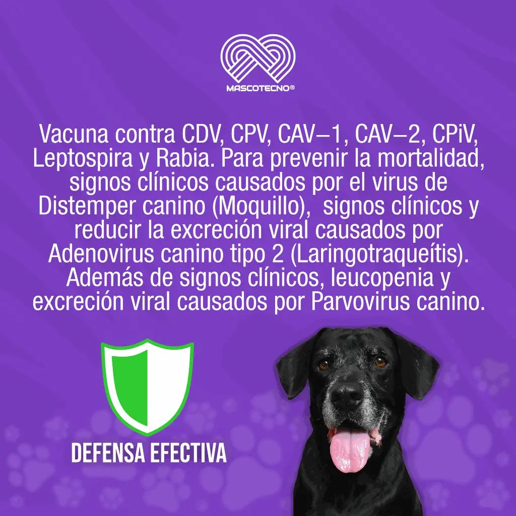 VACUNA_VIVIX_C6+R_01.webp