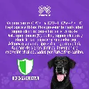 VACUNA_VIVIX_C6+R_01.webp
