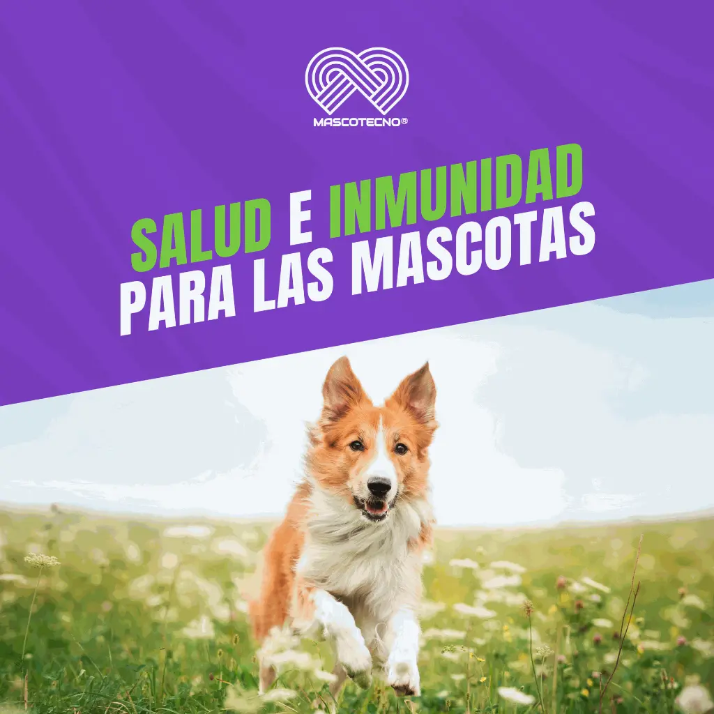 VACUNA_VIVIX_C6+R_06.webp
