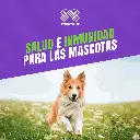VACUNA_VIVIX_C6+R_06.webp