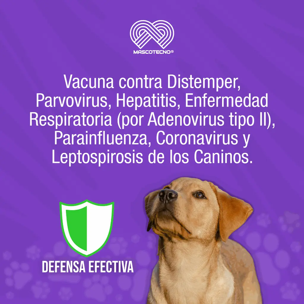 VACUNA_VIRATEC_10+CV_QUINTUPLE_01.webp