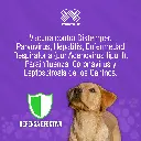 VACUNA_VIRATEC_10+CV_QUINTUPLE_01.webp