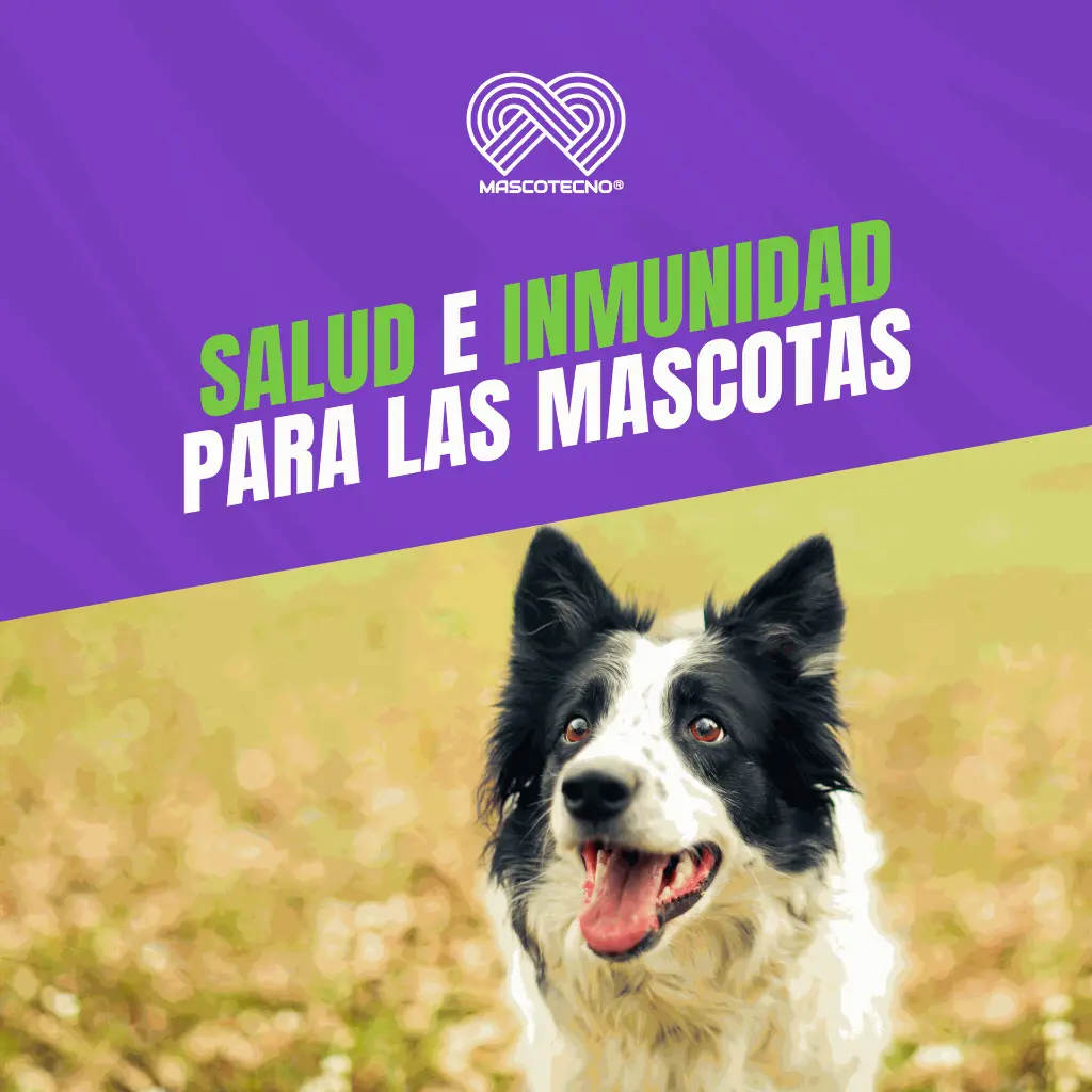 VACUNA_VIRATEC_10+CV_QUINTUPLE_05.webp