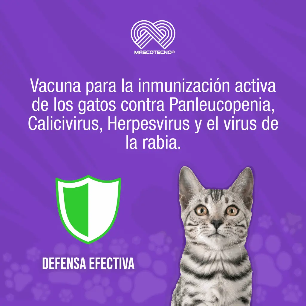 VACUNA_VIBIX_F3+R_TRIPLE_FELINA+RABIA_01.webp