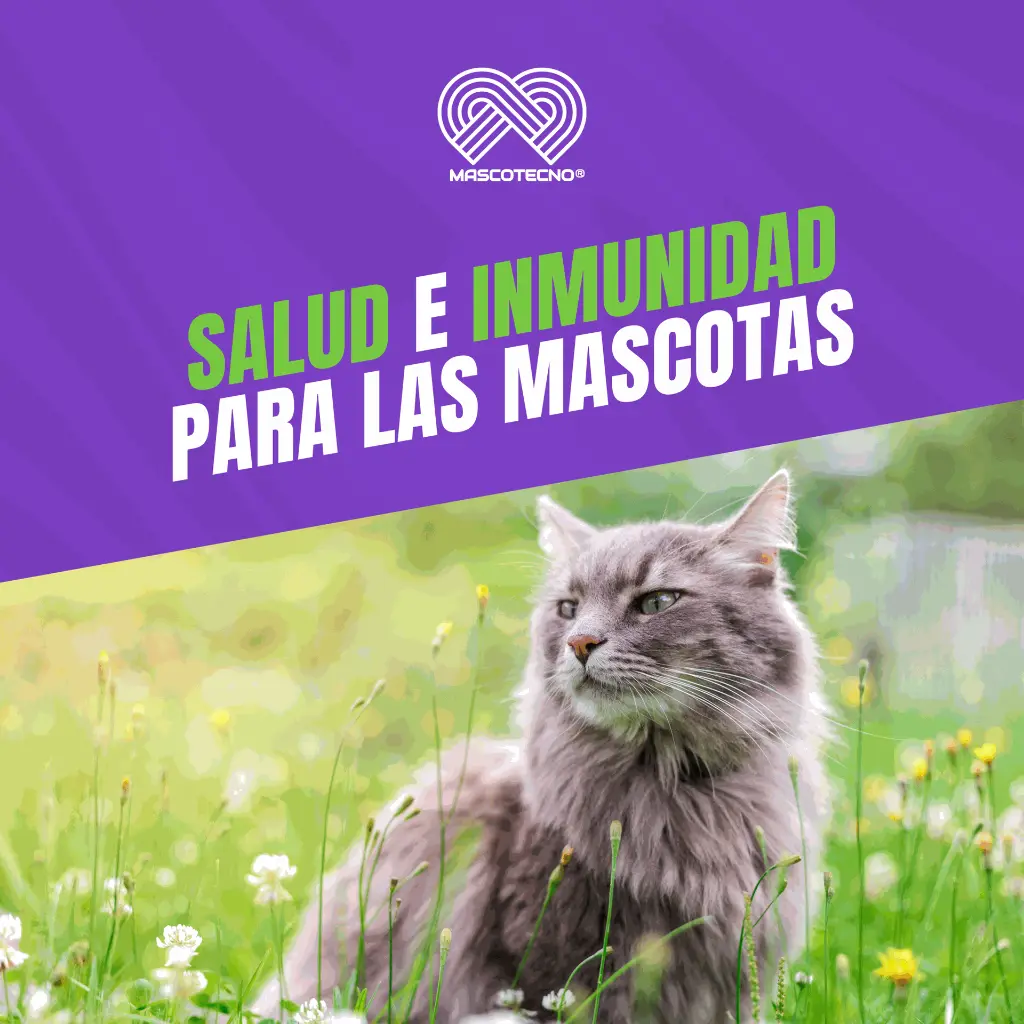 VACUNA_VIBIX_F3+R_TRIPLE_FELINA+RABIA_05.webp