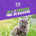 VACUNA_VIBIX_F3+R_TRIPLE_FELINA+RABIA_05.webp