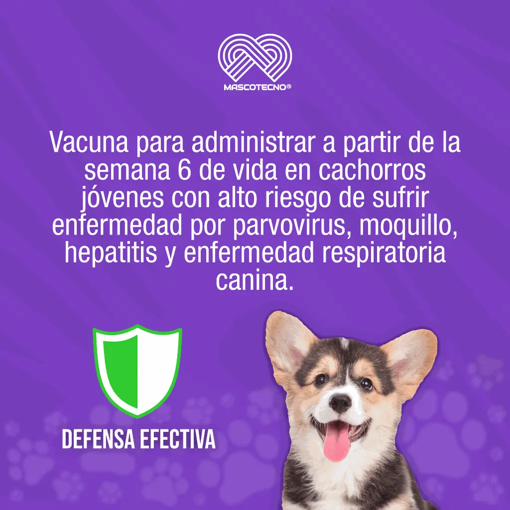 VACUNA_VIRATEC5_PUPPY_01.webp