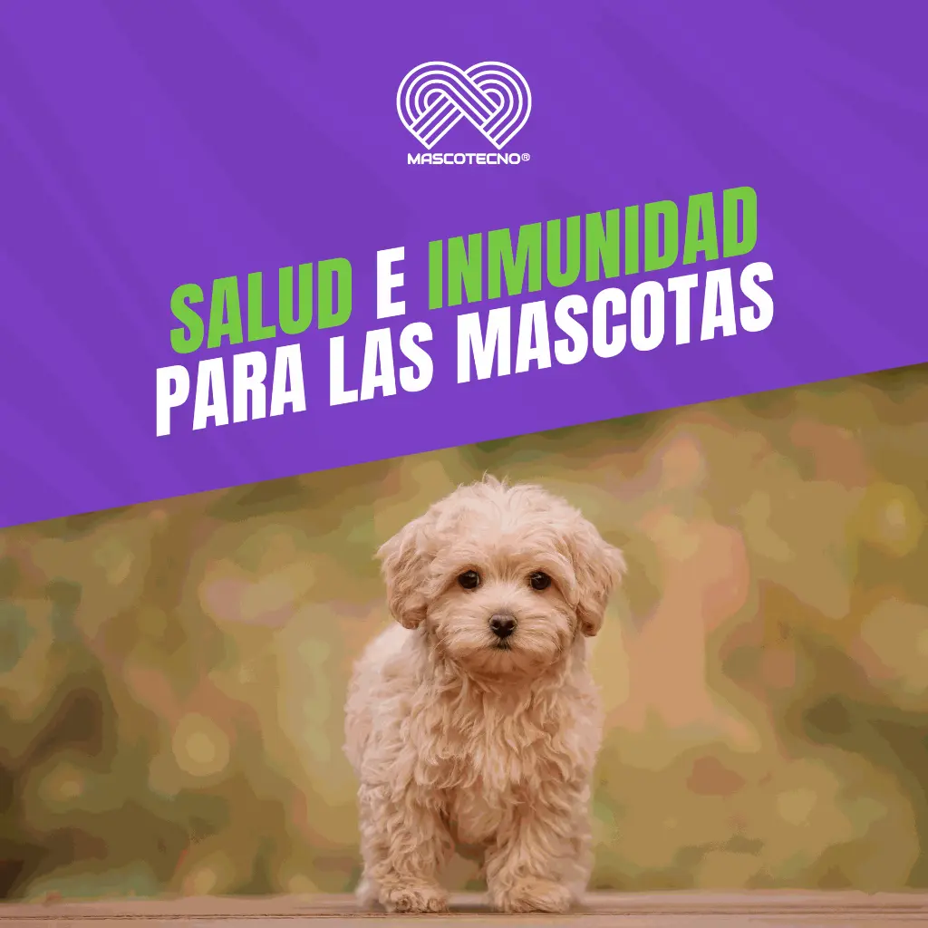 VACUNA_VIRATEC5_PUPPY_05.webp