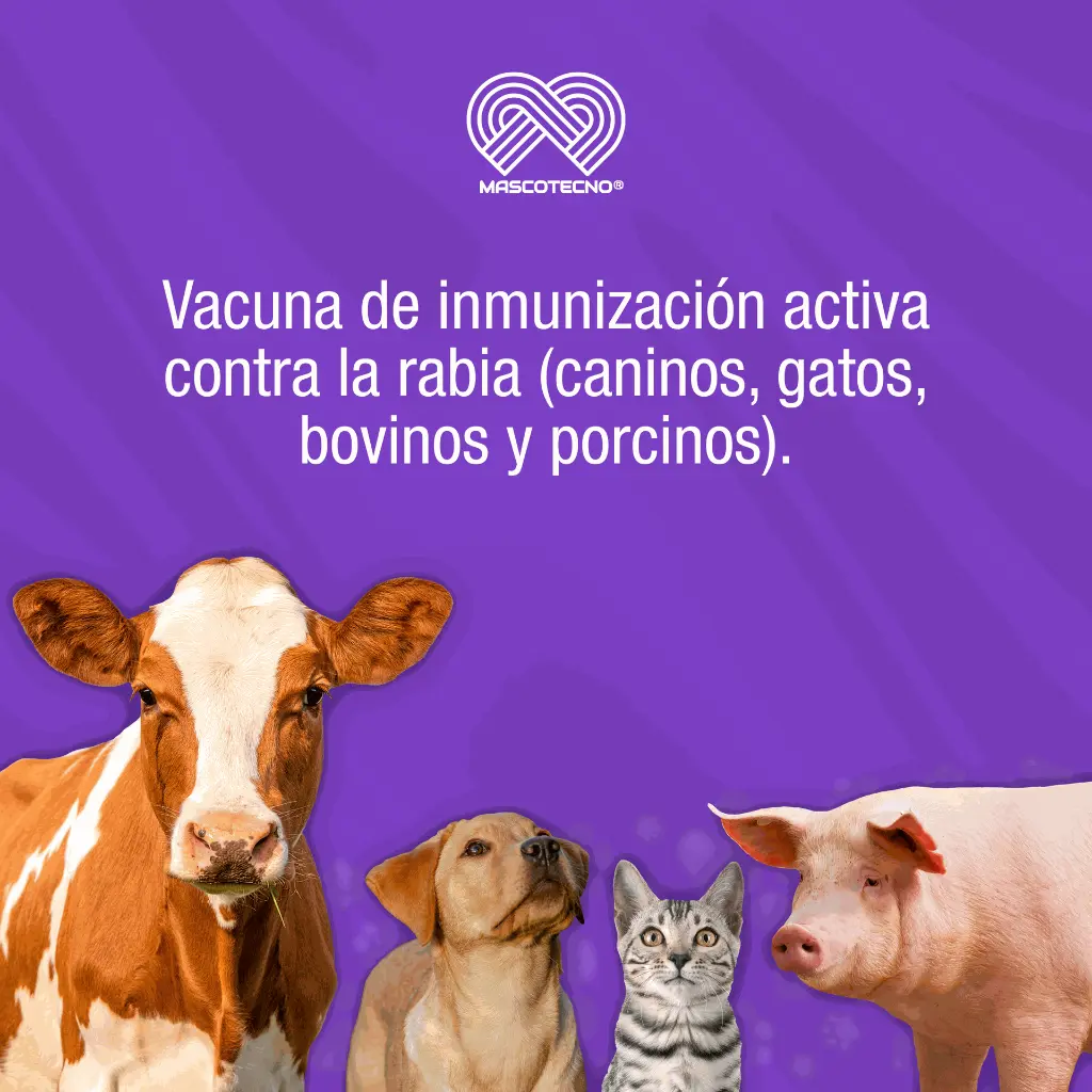 VACUNA_RABISIN_X1_01.webp