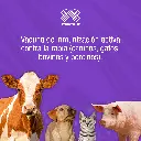 VACUNA_RABISIN_X1_01.webp