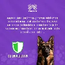 VACUNA_NOBIVAC_INTRATAC_TOS_PERRERA_ORAL_01.webp