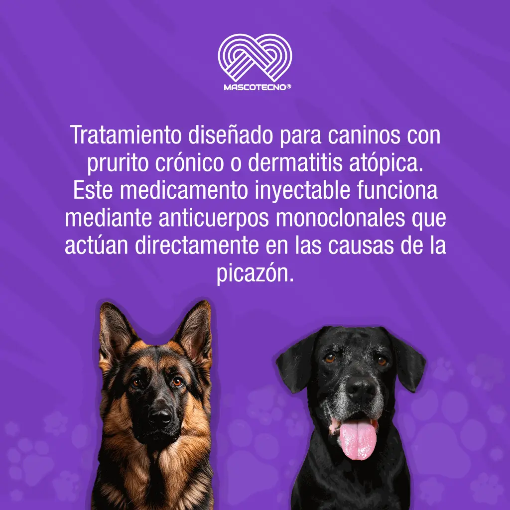 CYTOPOINT_AMPOLLA_20MG_01.webp