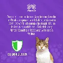 VACUNA_FELIGEN_RABIA_01.webp