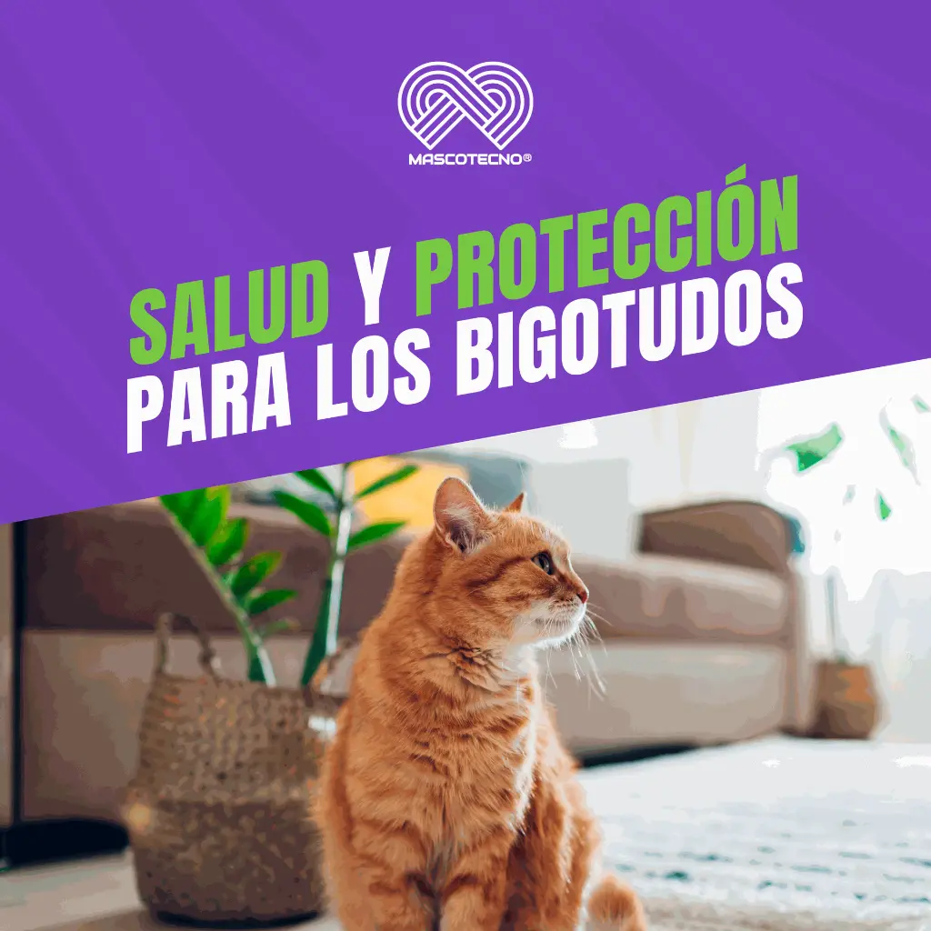 VACUNA_FELIGEN_RABIA_05.webp