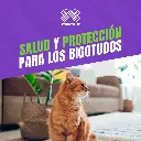 VACUNA_FELIGEN_RABIA_05.webp