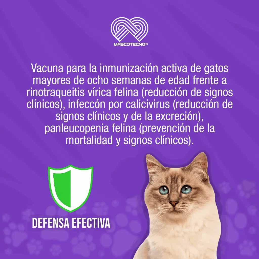 VACUNA_PUREVAX_RCP_TRIPLE_FELINA_01.webp