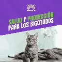 VACUNA_PUREVAX_RCP_TRIPLE_FELINA_04.webp