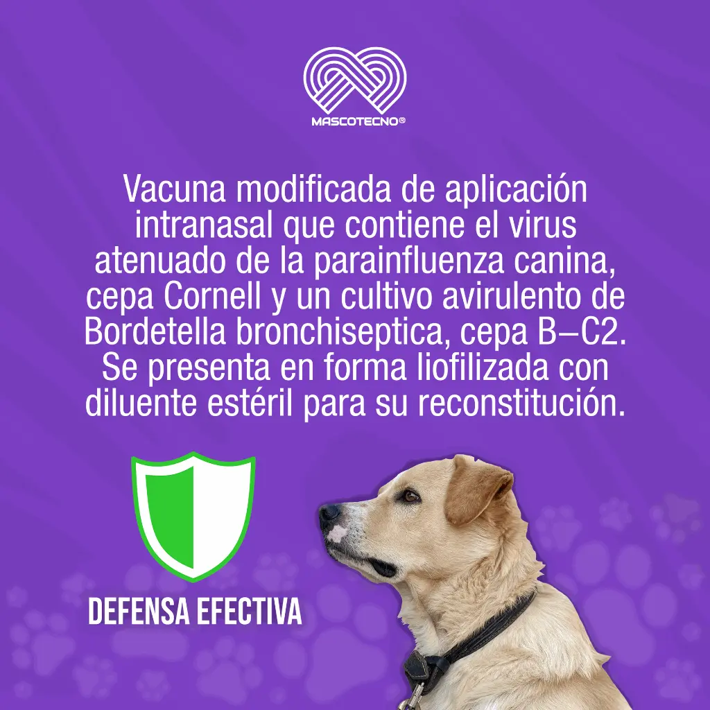 VACUNA_NOBIVAC_KC+J_TOS_PERRERA_NASAL_01.webp