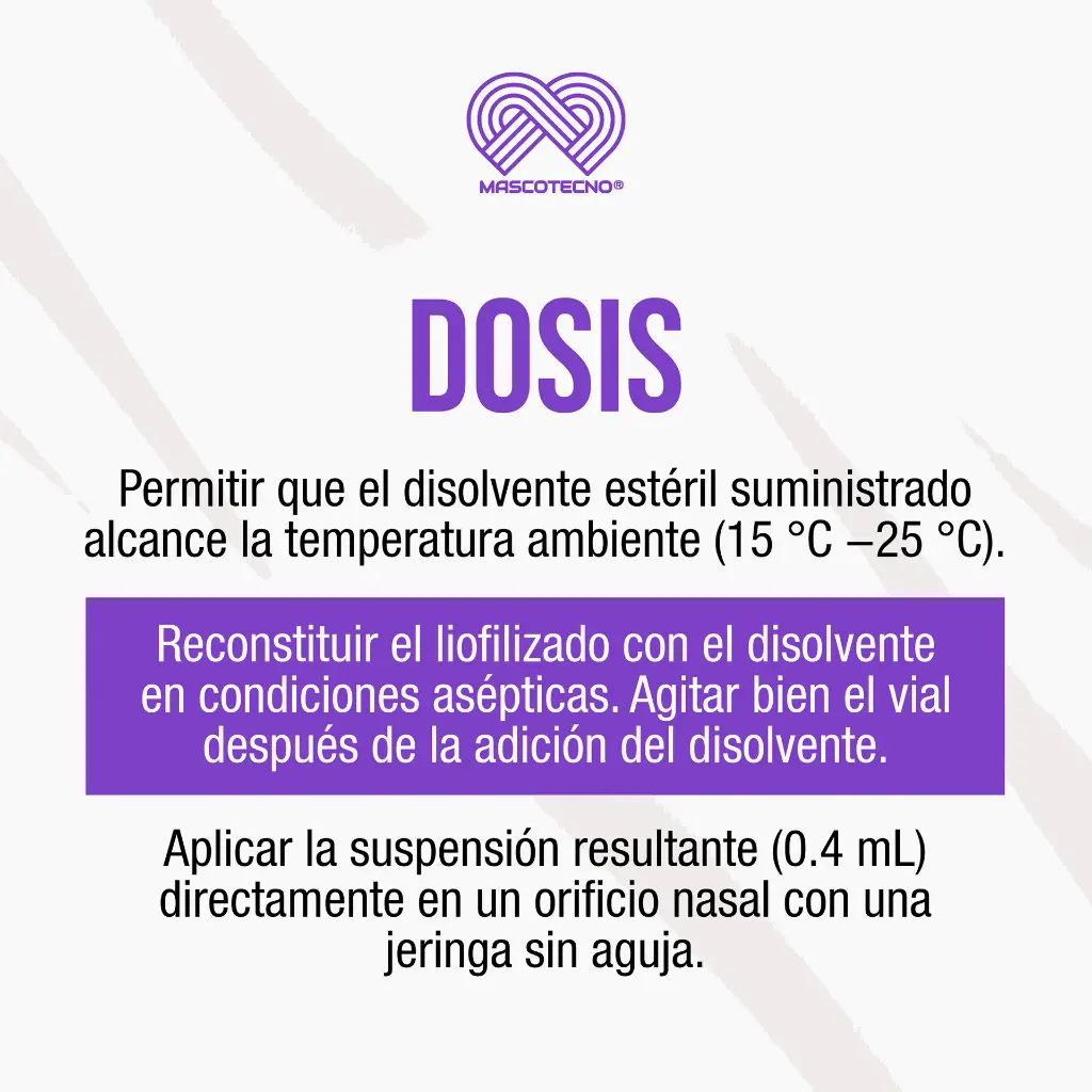 VACUNA_NOBIVAC_KC+J_TOS_PERRERA_NASAL_03.webp
