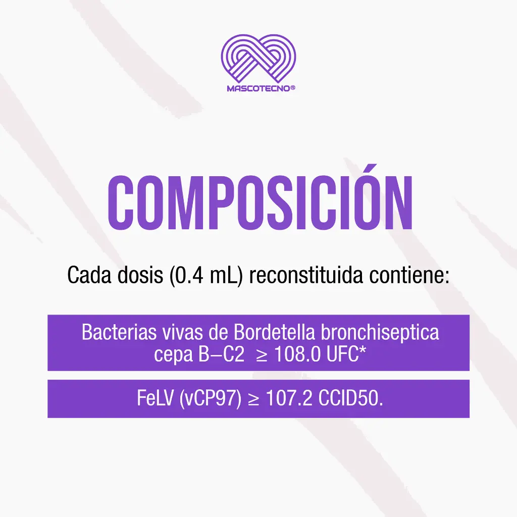VACUNA_NOBIVAC_KC+J_TOS_PERRERA_NASAL_04.webp
