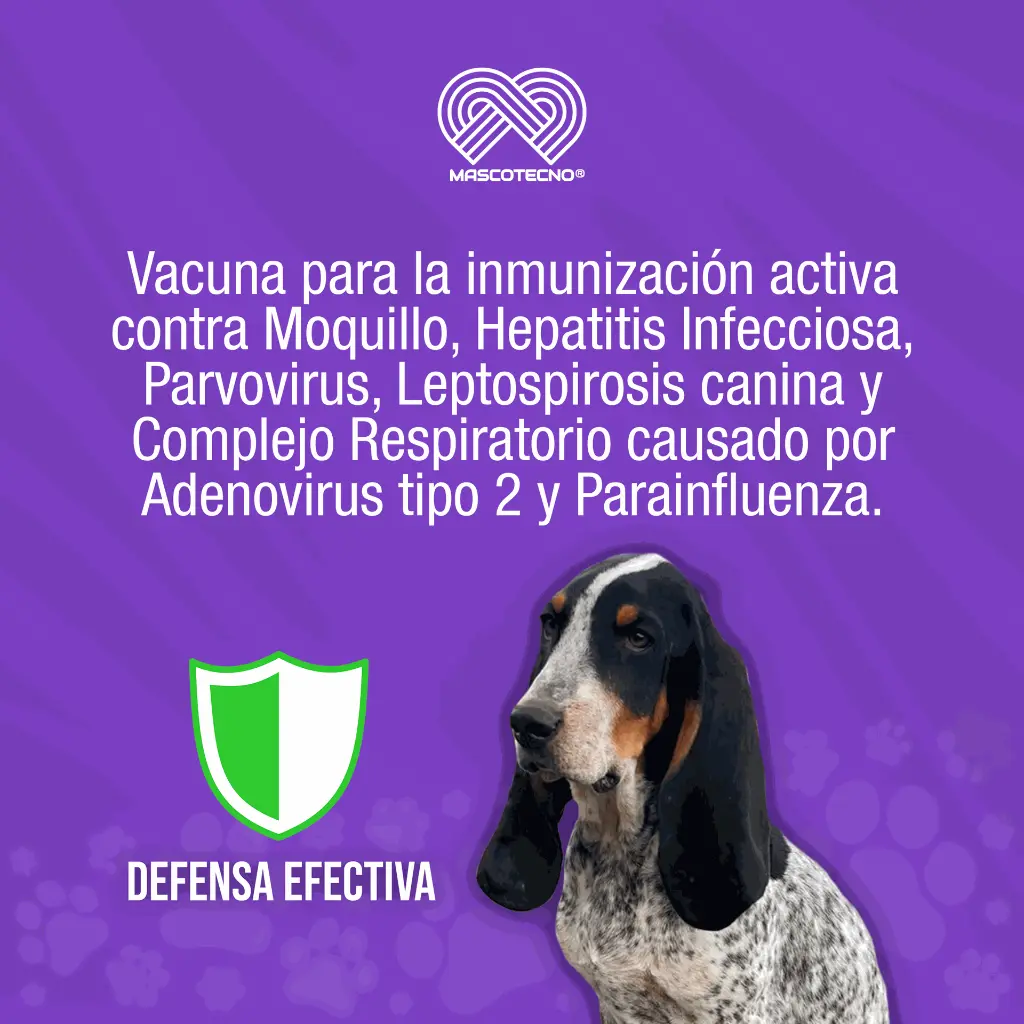 VACUNA_CANIGEN_MHA2_PPIL_QUINTUPLE_01.webp
