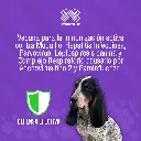 VACUNA_CANIGEN_MHA2_PPIL_QUINTUPLE_01.webp
