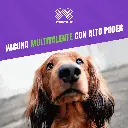 VACUNA_CANIGEN_MHA2_PPIL_QUINTUPLE_05.webp