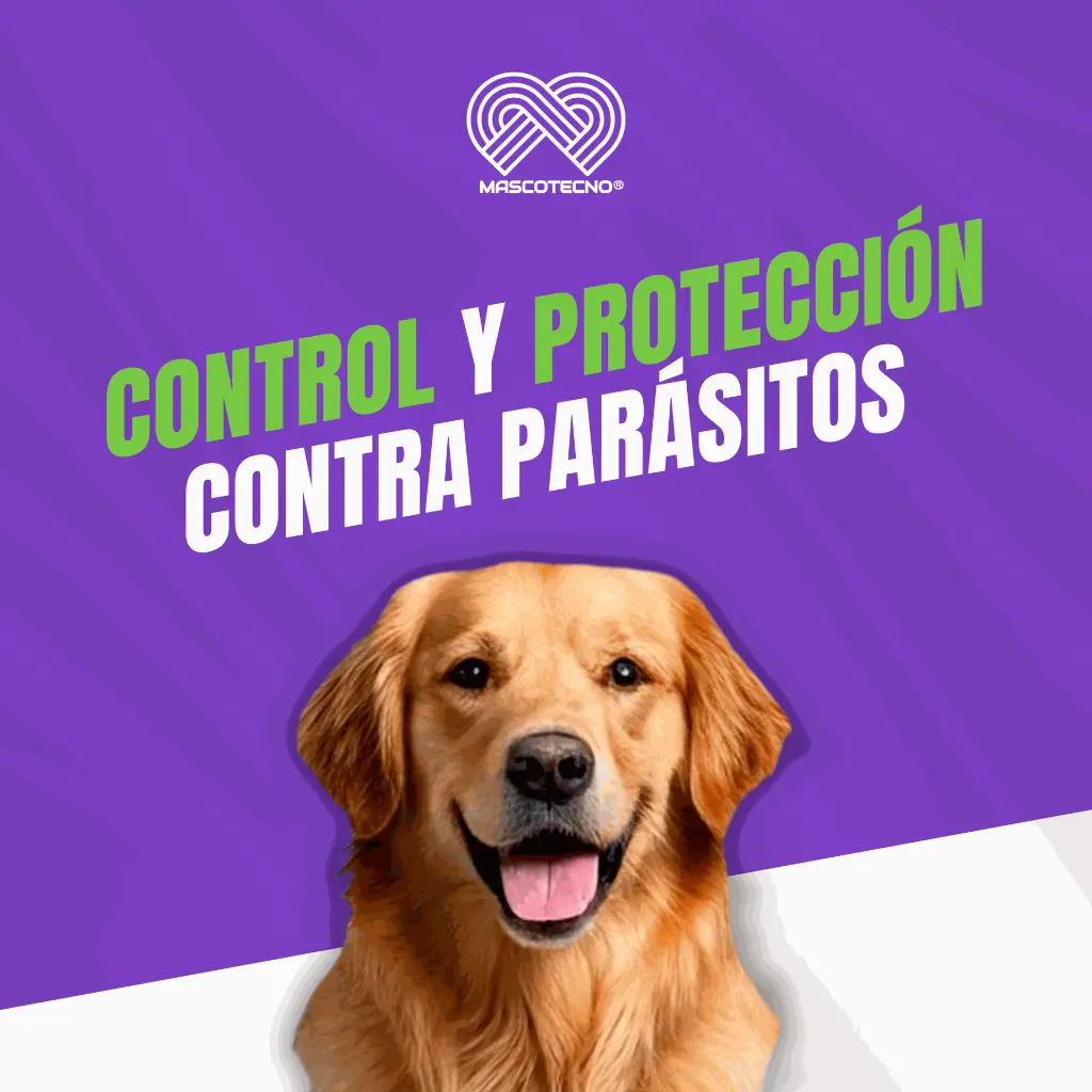 NEXGUARD_3_10-25KG_04.webp