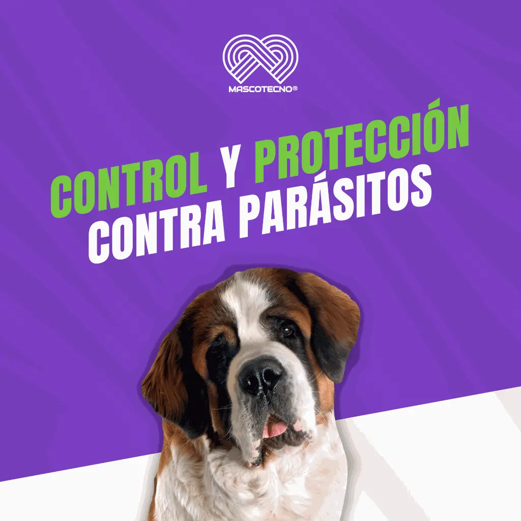NEXGUARD_4_25-50KG_04.webp