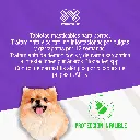 BRAVECTO_TAB1_2-4.5KG_AMARILLO_01.webp