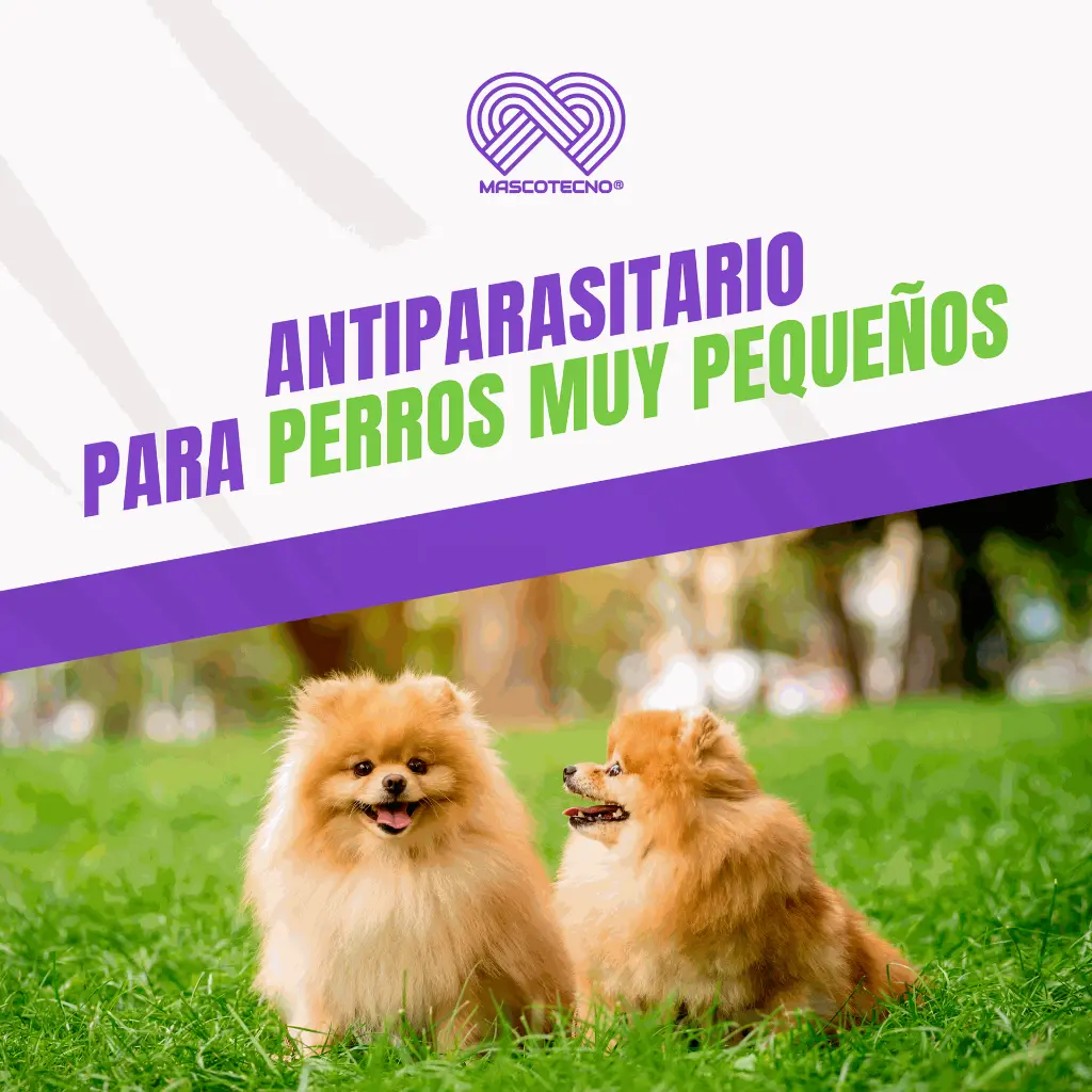 BRAVECTO_TAB1_2-4.5KG_AMARILLO_04.webp