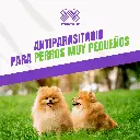 BRAVECTO_TAB1_2-4.5KG_AMARILLO_04.webp