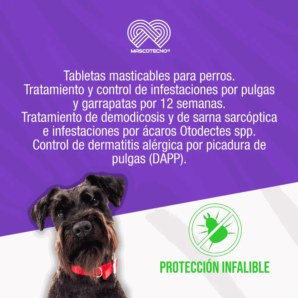 BRAVECTO_TAB2_4.5-10KG_NARANJA_01.webp