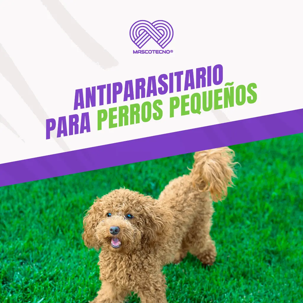 BRAVECTO_TAB2_4.5-10KG_NARANJA_04.webp