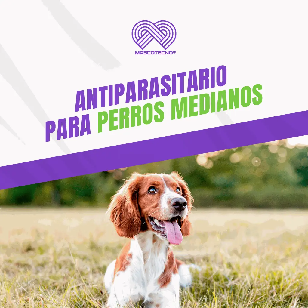 BRAVECTO_TAB3_10-20KG_VERDE_04.webp