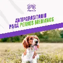 BRAVECTO_TAB3_10-20KG_VERDE_04.webp