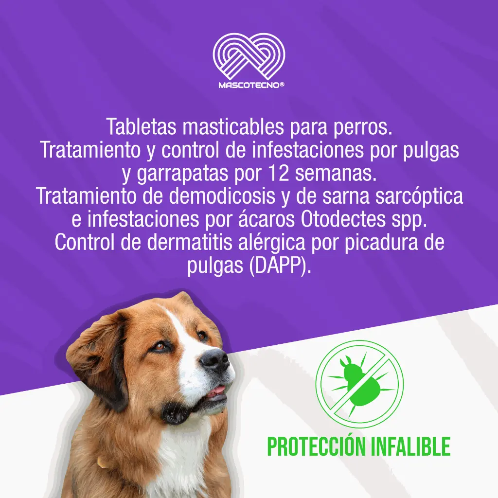 BRAVECTO_TAB4_20-40KG_AZUL_01.webp